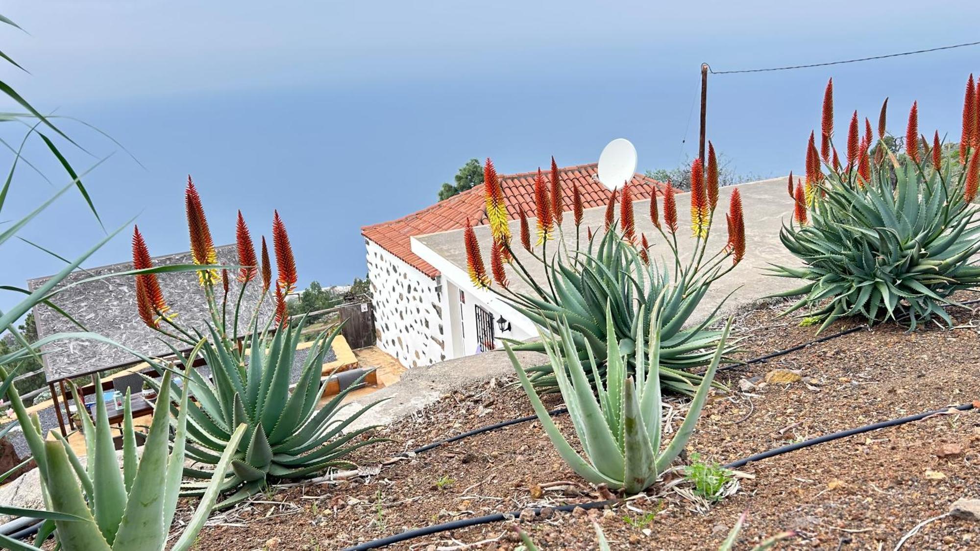 Holiday home Casa Maruca *